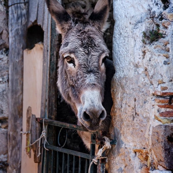 alh_hotel_supetar_cavtat_pool17